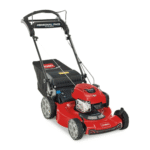 Toro 22" Recycler Personal Pace Self-Propelled Gas Lawn Mower (21462)